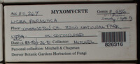 Image Associated With the Occurence